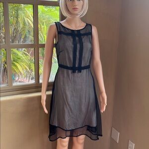 Beautiful silk and mesh dress